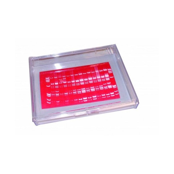 Gary Plastic Mini Blotting Containers, Clear, 20.5x15.9x2.5, 4/PK 248719 - main